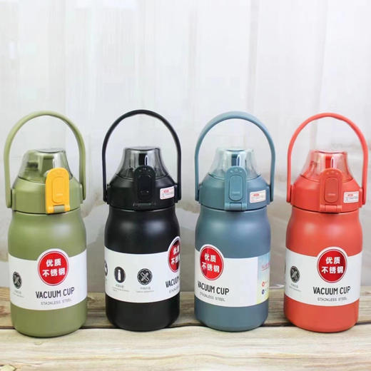 【35元/个】清溪高档提手壶1000ml（1117061） 商品图0