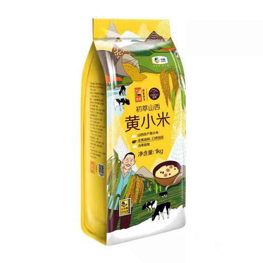 中粮初萃山西黄小米1kg 商品图1