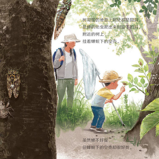 《科学之友·大自然里的博物课》（共7册） 商品图7