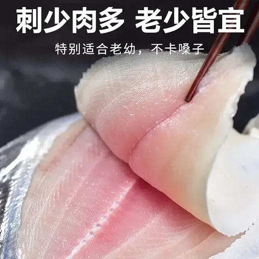 白鲳鱼（特大）| 深海野生海钓海鲜 商品图1