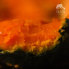 有机银栗南瓜（圆通） | 合作生产*Organic pumpkin | Partner Production 商品缩略图5