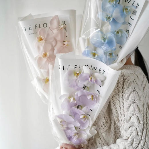 《幸福向你飞来》单枝蝴蝶兰花束（下单请备注颜色） 商品图1