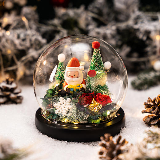 圣诞专场`~圣诞树、小鹿、永生花玻璃罩礼盒 商品图7