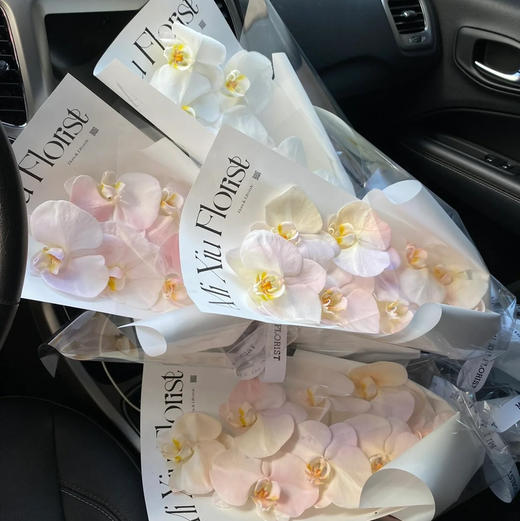 《幸福向你飞来》单枝蝴蝶兰花束（下单请备注颜色） 商品图5