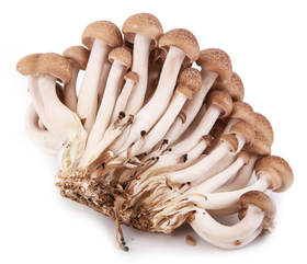 蟹味菇(500g±50g)