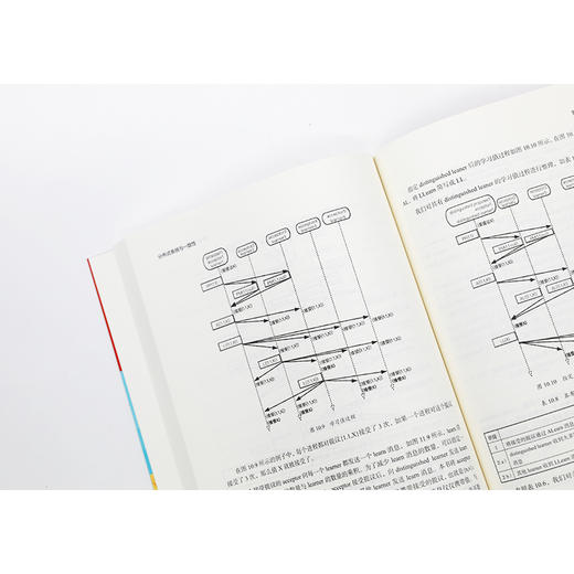 分布式系统与一致性 商品图1