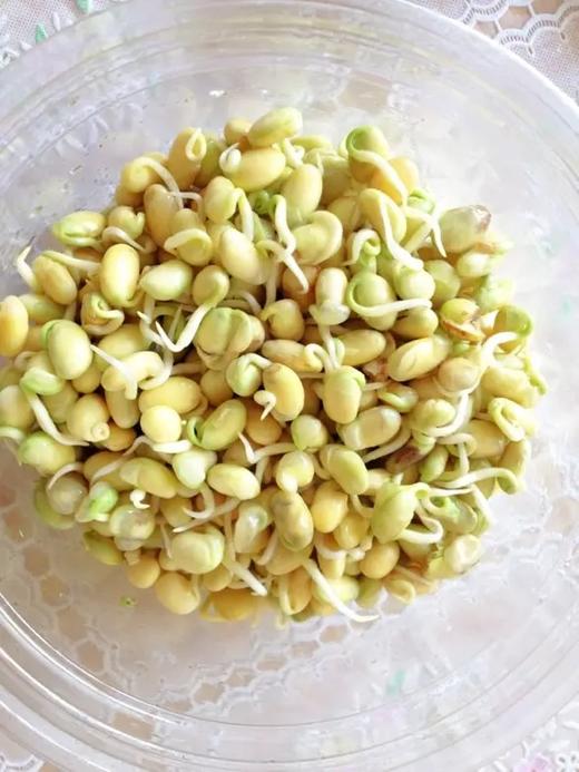 黄豆芽(250g±50g) 商品图0