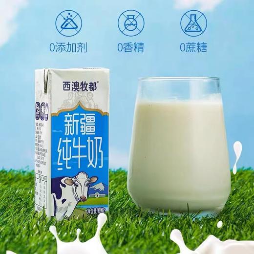 西澳牧都新疆纯牛奶 商品图2