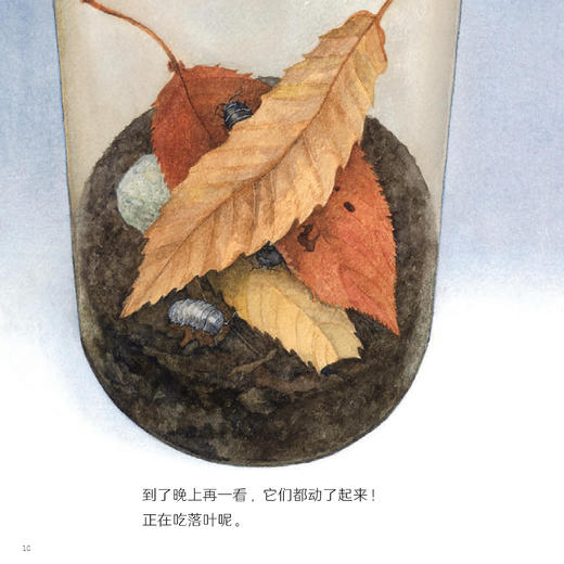 《科学之友·大自然里的博物课》（共7册） 商品图4