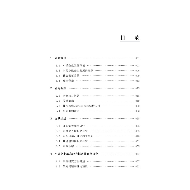 试读PDF-9787308226240(1-1)-小微企业动态能力形成路径研究_004.jpg