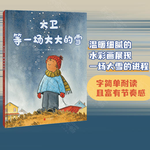 大卫等一场大大的雪丨温暖细腻的水彩画展现一场大雪的进程 商品图0