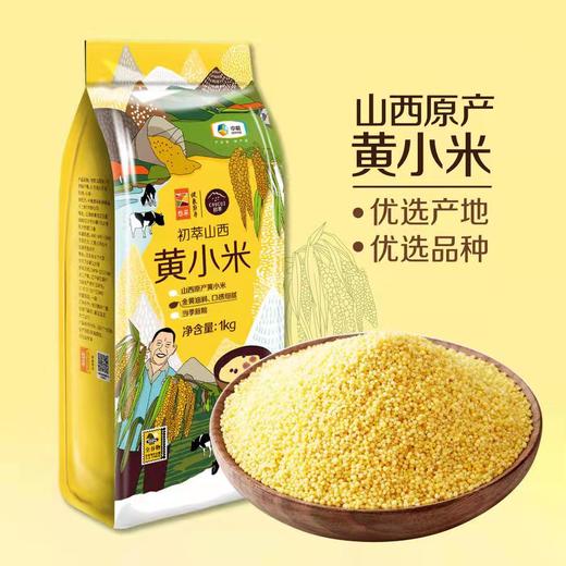 中粮初萃山西黄小米1kg 商品图0