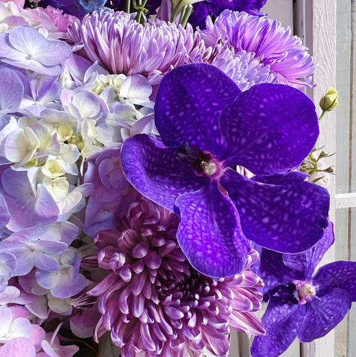 《胡姬兰》紫色高奢版抱抱桶 商品图7