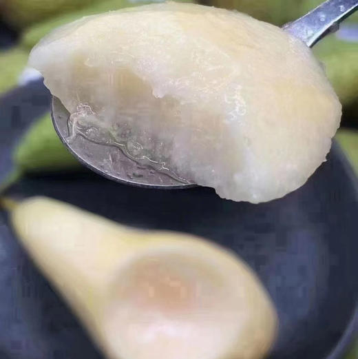 比利时进口啤梨 商品图3