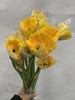 【非洲菊】黄色，18-20支/扎 商品缩略图2