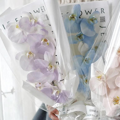 《幸福向你飞来》单枝蝴蝶兰花束（下单请备注颜色） 商品图10