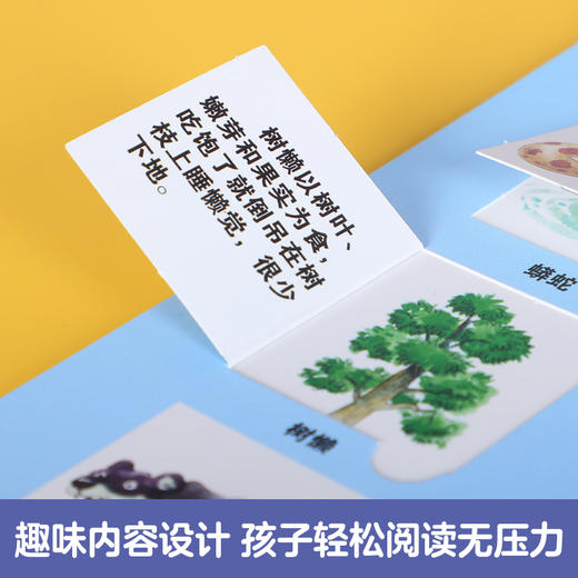 乐乐趣-托尼·沃尔夫翻翻书（9册） 商品图5