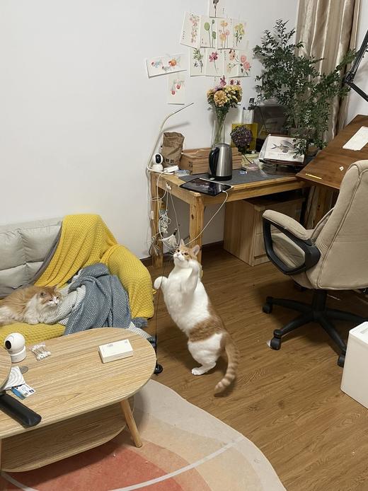 zyq_批量导入_禁用等级订货商测试 商品图0