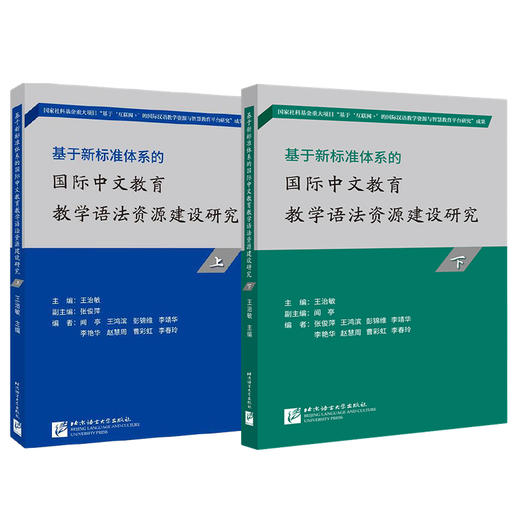 【新书上架】国际中文教学语法100点上册+下册共两本 王治敏 对外汉语人俱乐部 商品图0