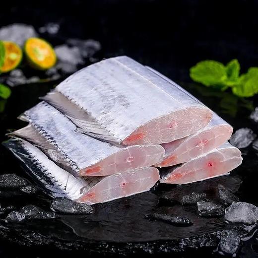 生鲜肉类 速冻带鱼段700g左右/袋 商品图0