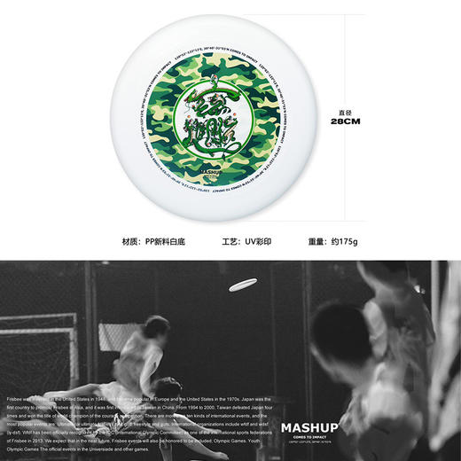 收藏系列《迷彩囍  招财进宝迷彩 》 潮流艺术飞盘 28CM 175g 商品图5