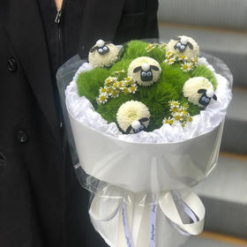 《小羊肖恩》羊了个羊卡哇伊花束