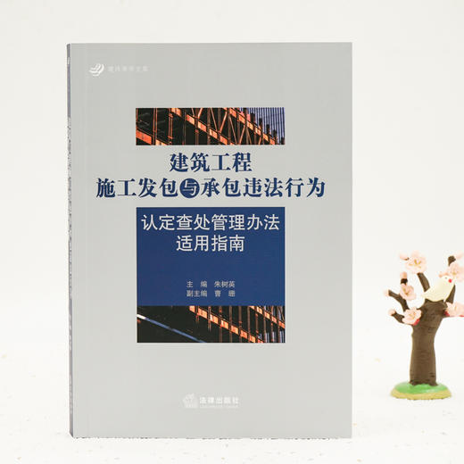 建筑工程施工发包与承包违法行为认定查处管理办法适用指南 商品图2