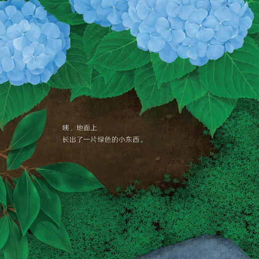 《科学之友·大自然里的博物课》（共7册） 商品图3