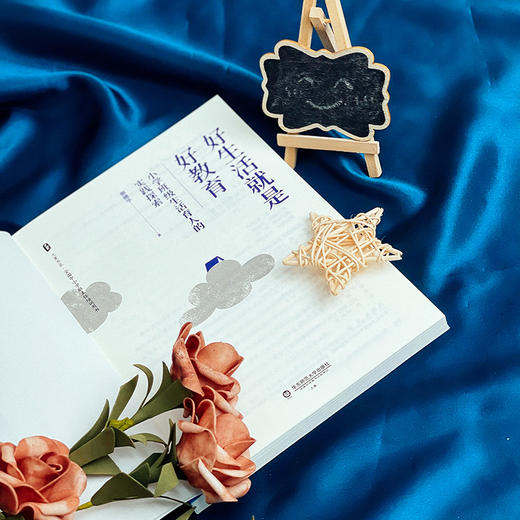 好生活就是好教育 小学班级生活育人的实践探索 大夏书系 教育艺术 德育教育 商品图4