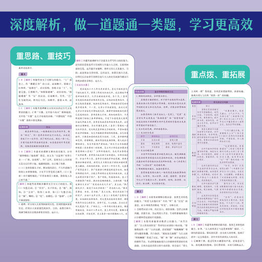 【新东方】2025新高考语文 古诗文阅读 商品图4