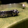 𝐆家虎头银手镯 商品缩略图2