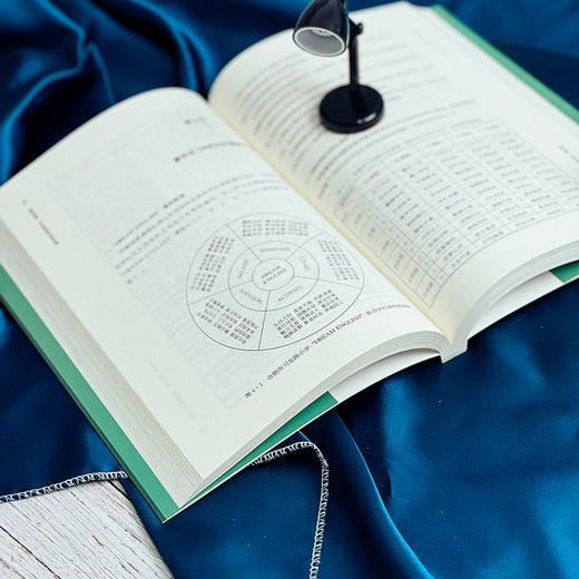 跨界课程 学科课程的边界拓展 语文 英语 信息技术 生命教育课程 小学案例 商品图9