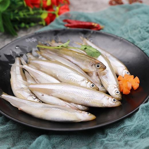 密云小公鱼黄瓜香淡水鱼营养丰富肉质鲜嫩带鱼籽冷冻发货  2斤装     商品图0