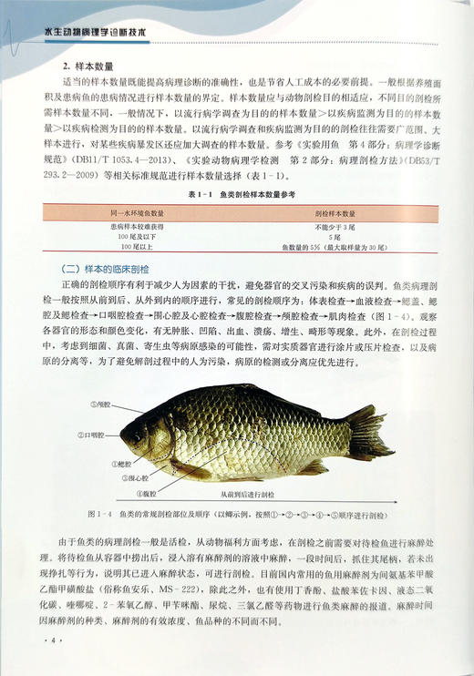 水生动物病理学诊断技术【官方正版】 商品图2