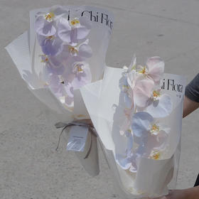 《幸福向你飞来》单枝蝴蝶兰花束（下单请备注颜色）