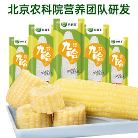 东北农科玉九哈白甜糯玉米真空玉米代餐8根新鲜大玉米糯玉米