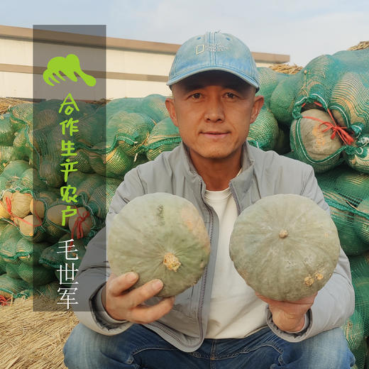 有机银栗南瓜（圆通） | 合作生产*Organic pumpkin | Partner Production 商品图1