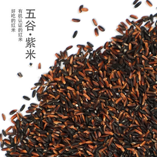 洋县周大黑紫米方砖500克 商品图4