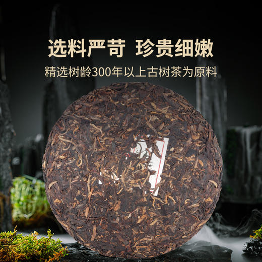 澜沧古茶2014年古木青饼普洱生茶大饼357g 商品图1