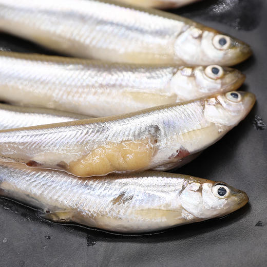 密云小公鱼黄瓜香淡水鱼营养丰富肉质鲜嫩带鱼籽冷冻发货  2斤装     商品图1