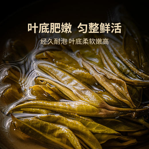 澜沧古茶2014年古木青饼普洱生茶大饼357g 商品图3