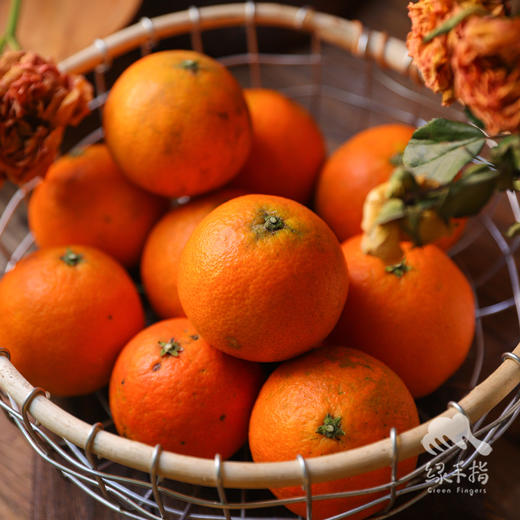 生态四川爱媛 | 合作生产 * Ecological Eyuan  | Coproduction 商品图3