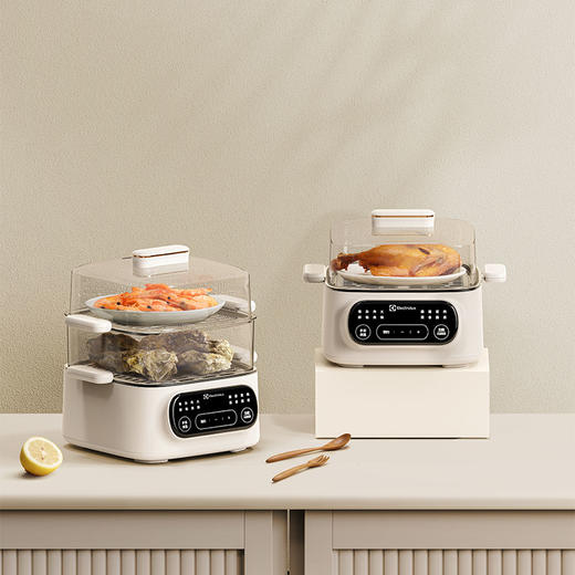 EGFS6110多功能电蒸锅 商品图4