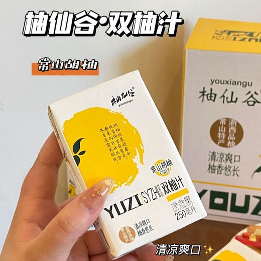 柚仙谷双柚汁饮料250ml 商品图0
