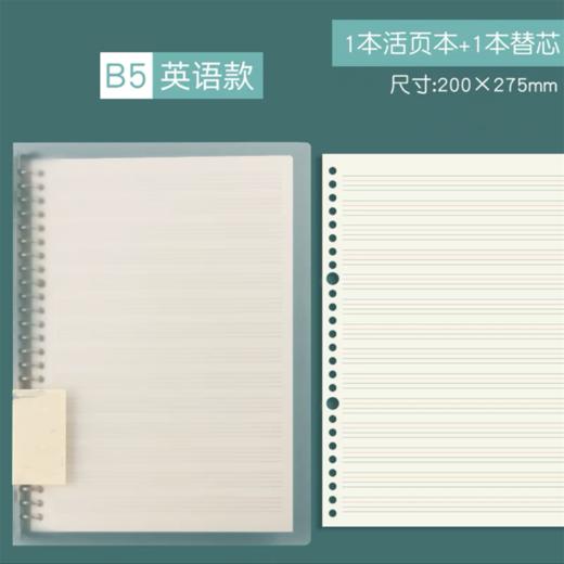 A4大号初中高中学生英语活页笔记本16k英语四线三格本b5英文单词本A5可拆卸加厚大号英语线圈本可加页小学生 商品图6
