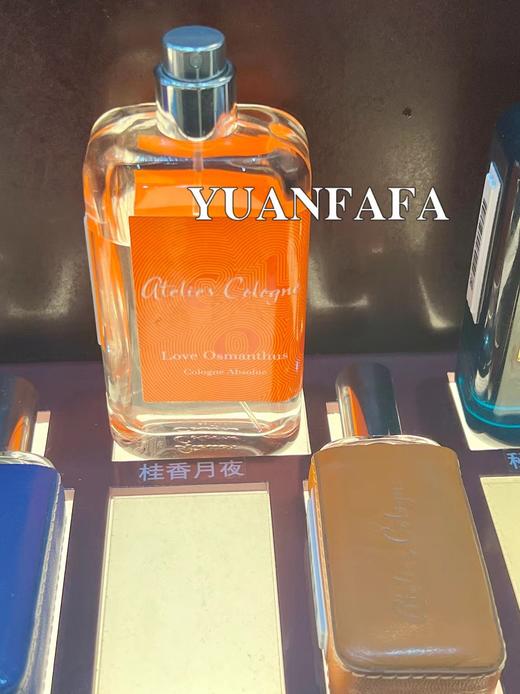 法国欧珑香水30ml 海风青柠套装4ml×8 茉雨心柠古龙香水 桂香月夜 西柚天堂（情柚独钟） 赤霞橘光 加州盛夏 无极乌龙  淡雅茶香柑橘调 商品图10