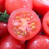 【四川攀枝花露天小番茄】小番茄甜贝贝、高山露天种植、雨露均沾、酸甜可口、爆汁爽口 商品缩略图9
