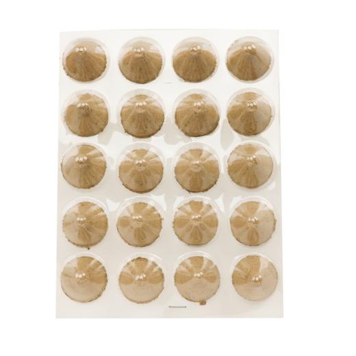 艾塔灸 隔姜灸 锥形陈年艾柱家用防护20粒装 商品图5