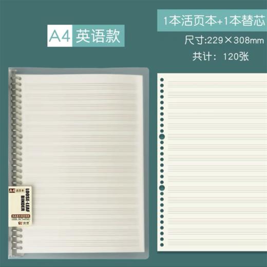 A4大号初中高中学生英语活页笔记本16k英语四线三格本b5英文单词本A5可拆卸加厚大号英语线圈本可加页小学生 商品图7