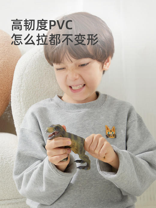 mideer弥鹿恐龙玩具侏罗纪仿真动物模型霸王龙翼龙套装儿童益智 商品图4